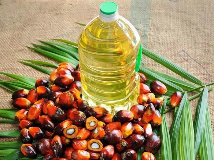 produksi minyak sawit menurun