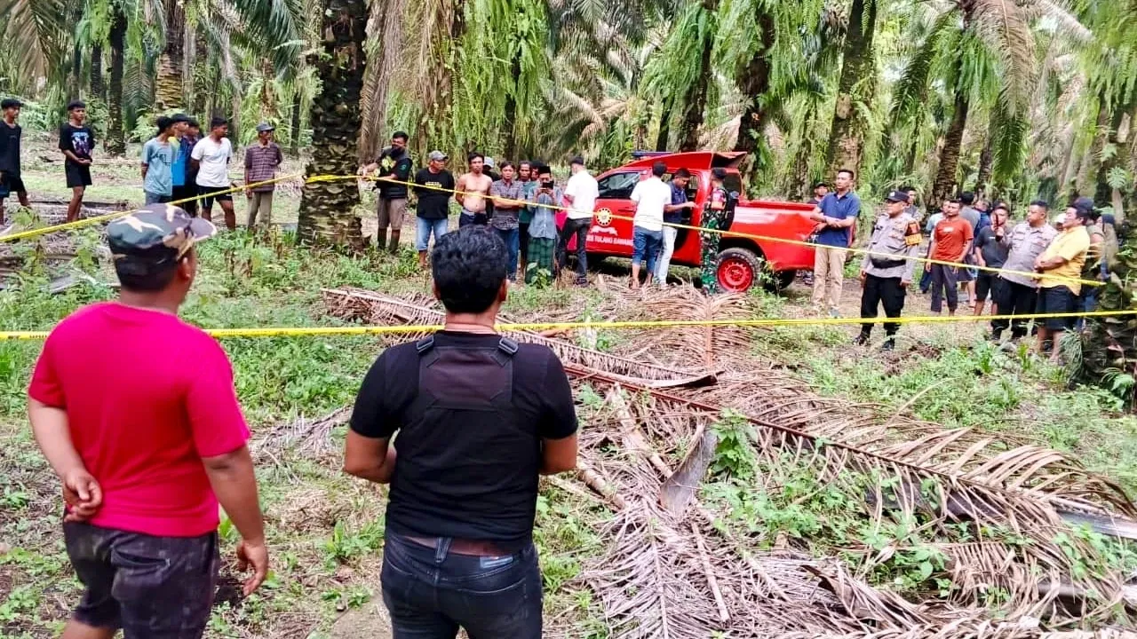 Siswa SMK Ditemukan Tewas di Kebun Sawit Lampung